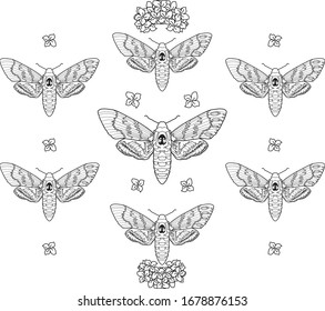 Butterfly dead head contour pattern with floral element