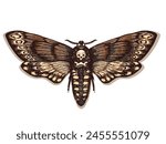 Butterfly Dead Head. Death's head hawk moth. Hand drawn vector ink illustration in trendy engraved style. Moth design tattoo sketch. Vintage drawing for t-shirt print, poster, coloring book. Tattoo