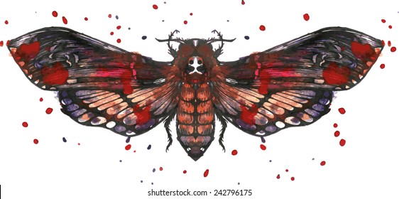 Butterfly dead head drawing by ink and watercolor with paint stains, vector illustration