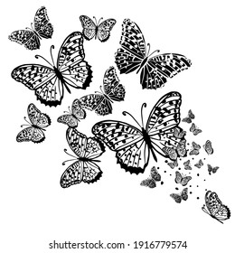 Butterfly decorative tattoo. Black Butterfly from patterns. Vector illustration