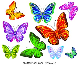butterfly, design ellements for decoration