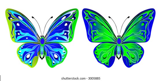 butterfly, design ellements for decoration