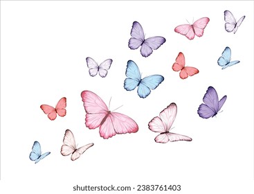 butterfly butterfly design hand drawn