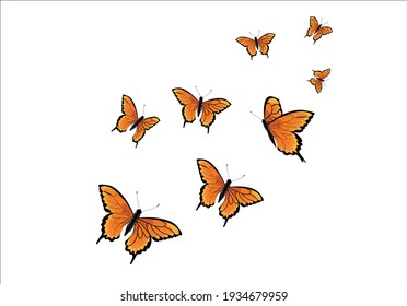butterfly design hand drawn vector art