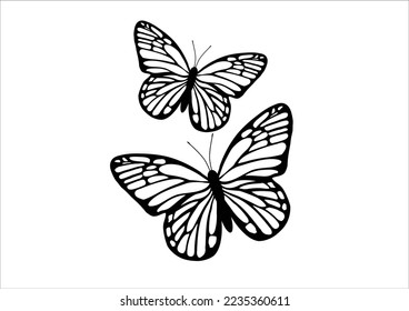 butterfly design hand drawn vector