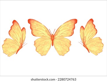 butterfly design hand drawn vector 