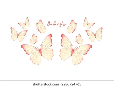 butterfly design hand drawn vector 