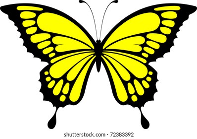 butterfly design isolated on white background in vector format very easy to edit, individual objects