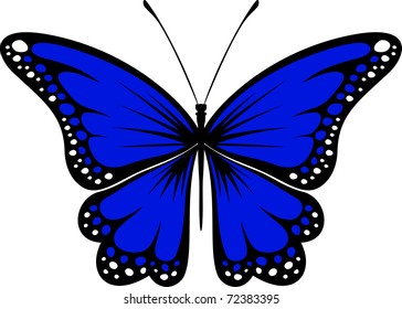 butterfly design isolated on white background in vector format very easy to edit, individual objects