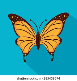 Butterfly design over blue background, vector illustration.