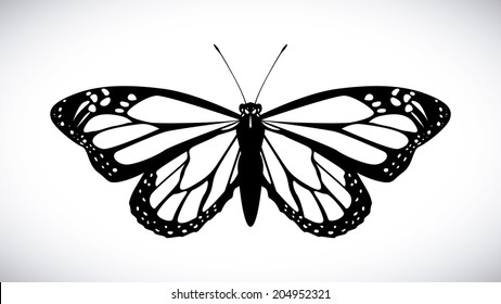 Butterfly design over white background, vector illustration