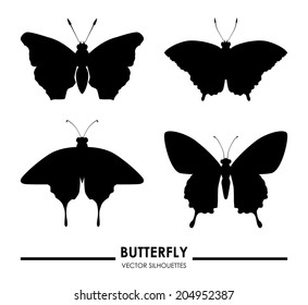 Butterfly design over white background, vector illustration