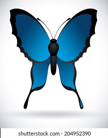 Butterfly design over white background, vector illustration