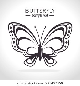 Butterfly design over white background, vector illustration.