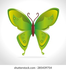 Butterfly design over white background, vector illustration.