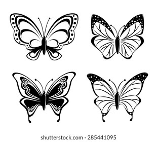 Butterfly design over white background, vector illustration.