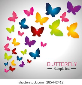 Butterfly design over white background, vector illustration.
