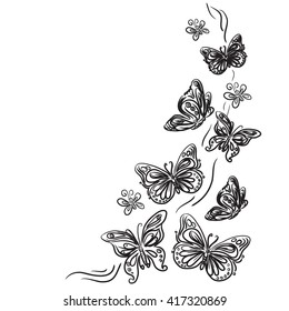 butterfly design, sketch, vector illustration