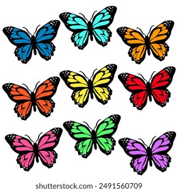 Butterfly design template with many different colour