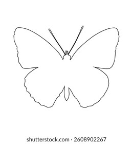 butterfly design with vector art