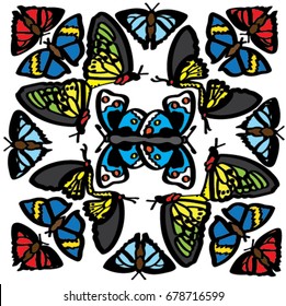 Butterfly Design with white background