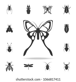 butterfly. Detailed set of insects items icons. Premium quality graphic design. One of the collection icons for websites, web design, mobile app on white background