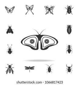 butterfly. Detailed set of insects items icons. Premium quality graphic design. One of the collection icons for websites, web design, mobile app on white background