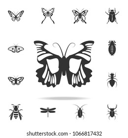 butterfly. Detailed set of insects items icons. Premium quality graphic design. One of the collection icons for websites, web design, mobile app on white background