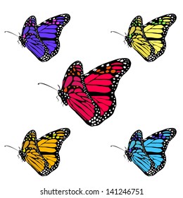 Butterfly in different color variations