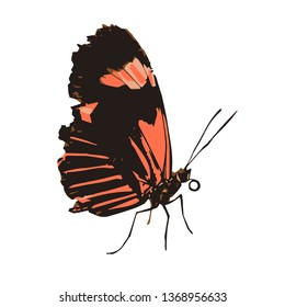 Butterfly Digital Vector Art Red Moth