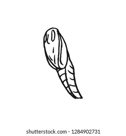 butterfly doll vector doodle sketch isolated on white background