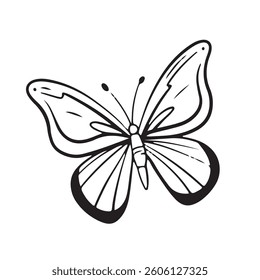 butterfly doodle hand drawn illustration . Outline drawing butterfly line clipart symbol collection. Vector illustration