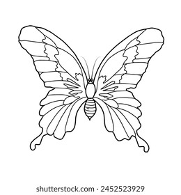 butterfly doodle outline drawing of butterfly. simple Black line. 