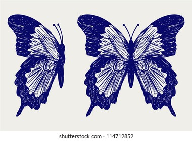 Butterfly. Doodle style