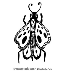 Butterfly in doodle style on isolated white background. Coloring book for kids and adults. Decorative hand drawn butterfly. Stock vector illustration. 