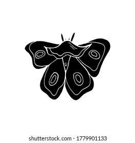 Butterfly. Doodle style. Vector isolated illustration of a flying insect. Butterfly with patterned wings. Printing on fabrics, dishes, and clothing.  Design of a book. 