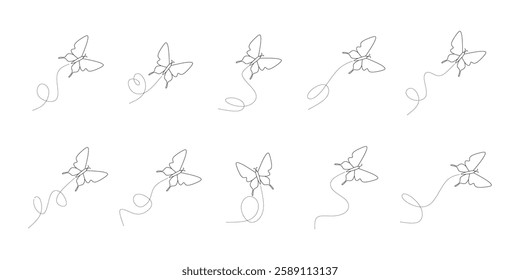 Butterfly with Dotted Line Illustration