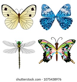 butterfly and dragonfly on a white background