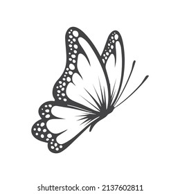 diseño vectorial de dibujo de mariposa