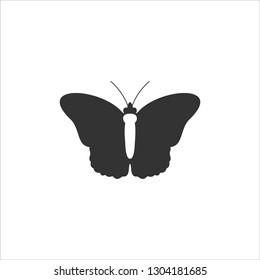 Butterfly. drawing. Vector illustration. 