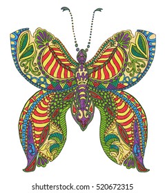 Butterfly drawing. Vector illustration