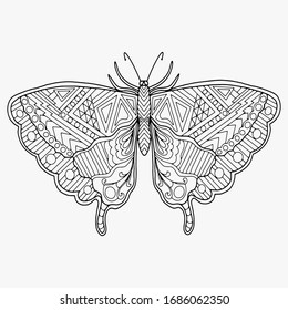 butterfly drawn with abstract ornaments for coloring, vector