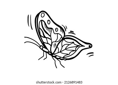 der Schmetterling wird mit einem schwarzen Umriss gezeichnet. Vektorgrafiken, Skizze