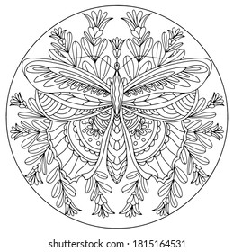 butterfly drawn with linal ornaments and flowers on a white background for coloring, vector