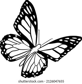 Butterfly dreamy logo design on white background. Vector illustration 