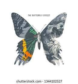 The Butterfly Effect Concept Design. 2 Styles In 1 Image. Vector Illustration