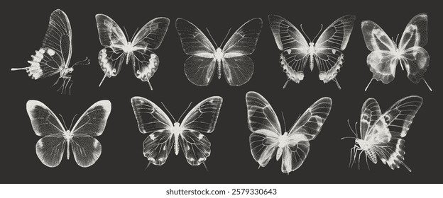 Butterfly elements to create a photocopy effect for a grunge style design. The X-ray effect of grain and dotted lines. Vector illustration.