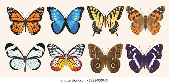 Butterfly Elements Set animal beauty