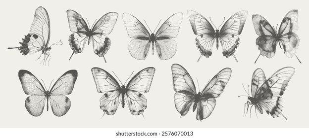 Butterfly elements of the X-ray effect. Retro photocopies for design, template. The effect of grain and dotted lines. Vector.