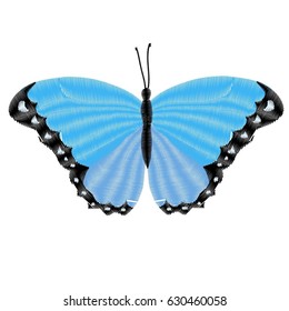 butterfly embroidery, illustration, vector